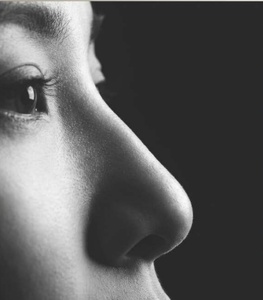 隆鼻療程全解密：從微整到手術的技術地圖與風險導航